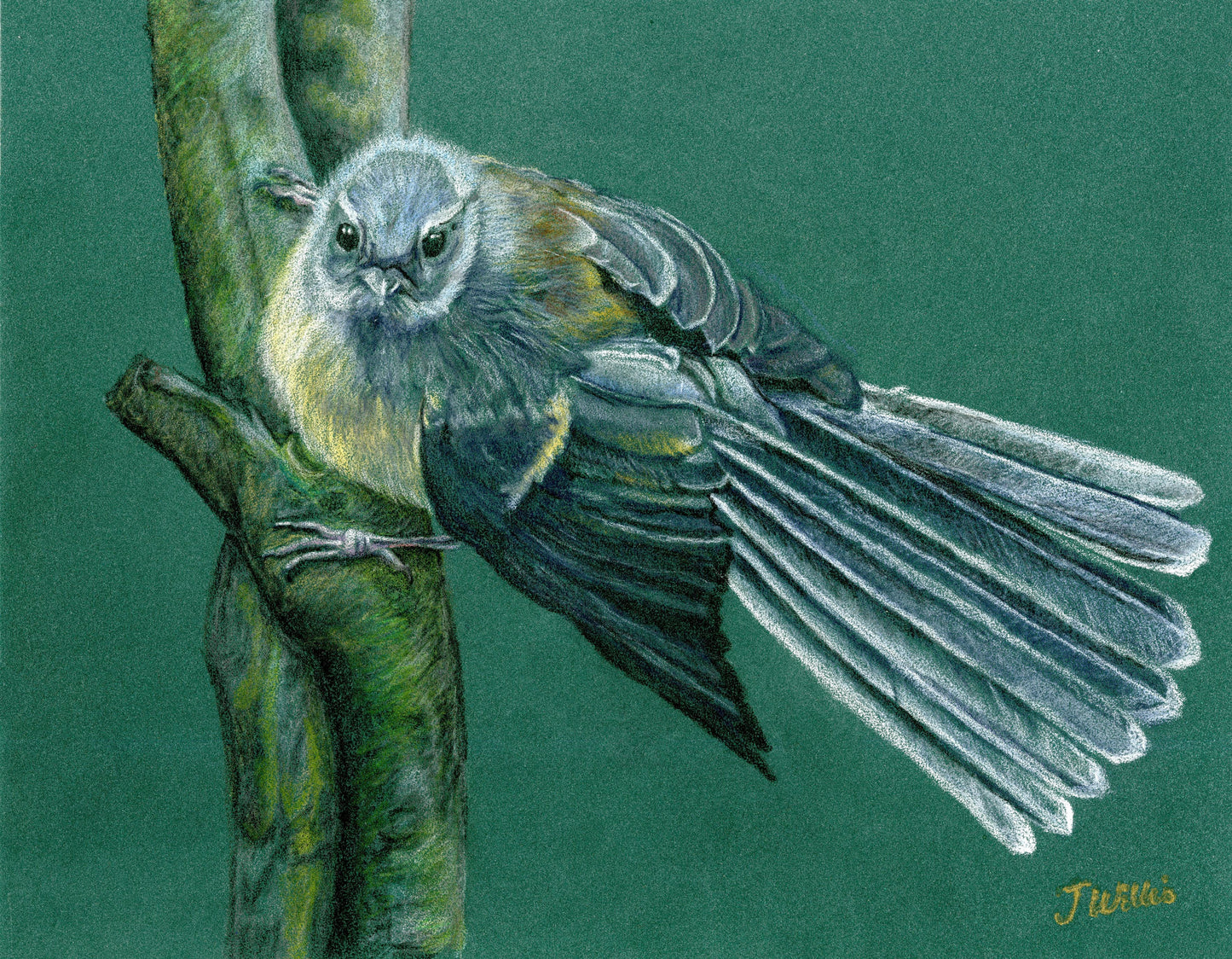 Original artwork