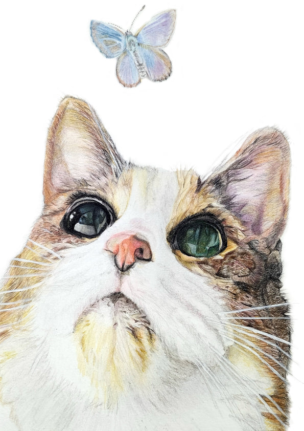 Original artwork