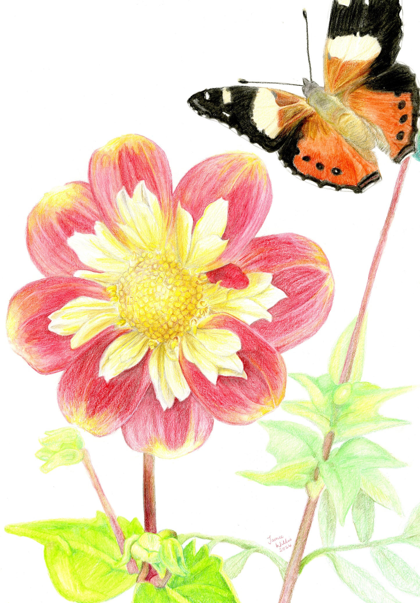 Greeting/blank cards