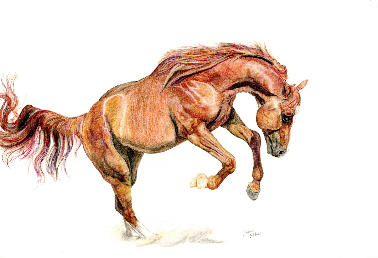 Original artwork