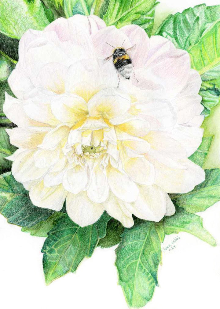 Greeting/blank cards