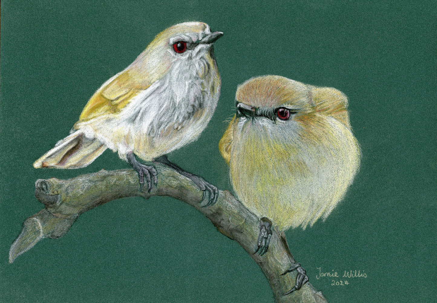 Greeting/blank cards