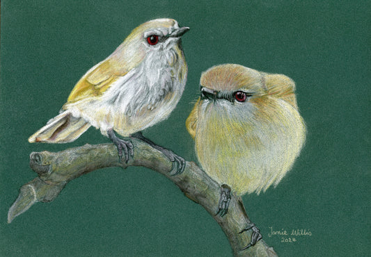 Greeting/blank cards