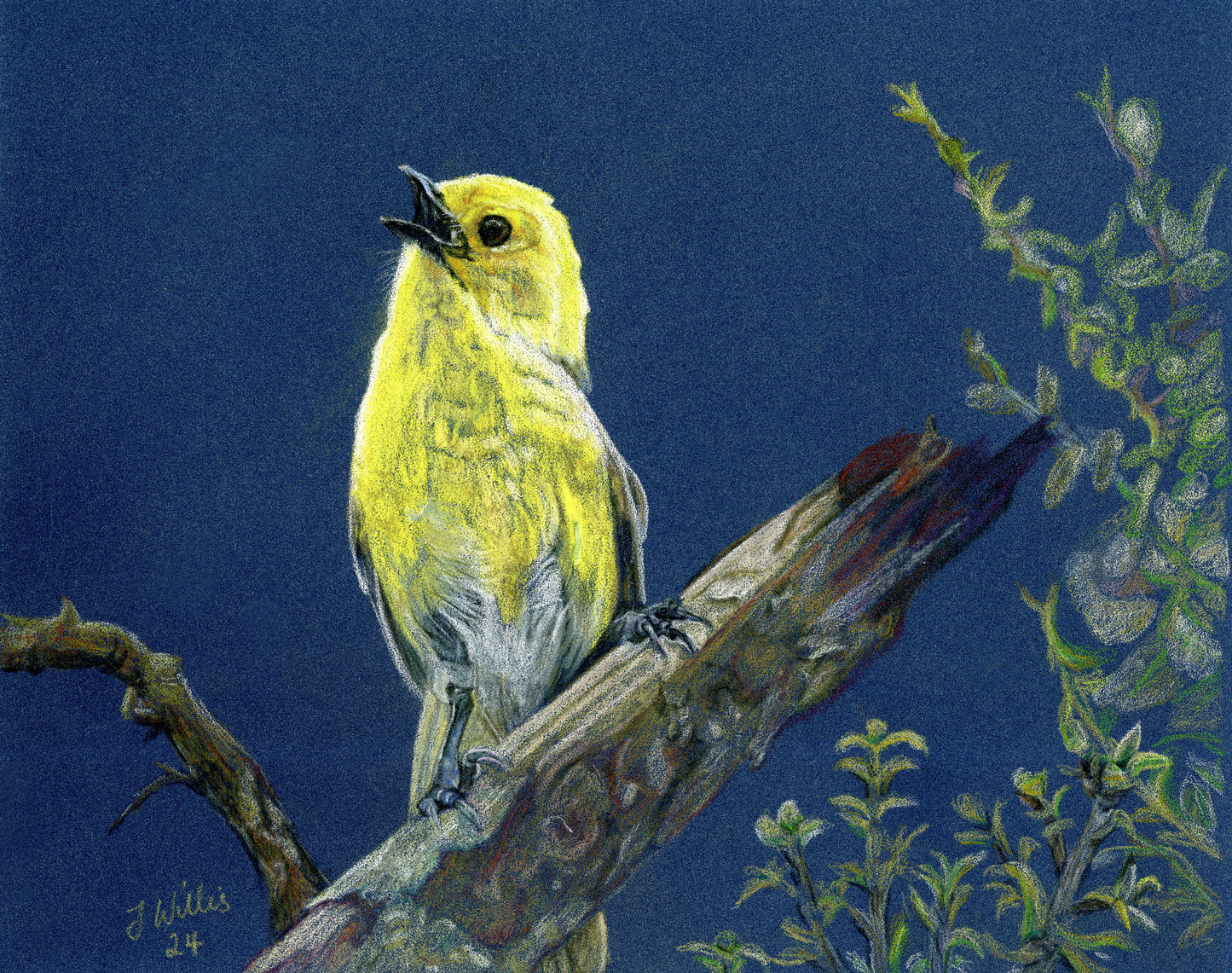 Original artwork